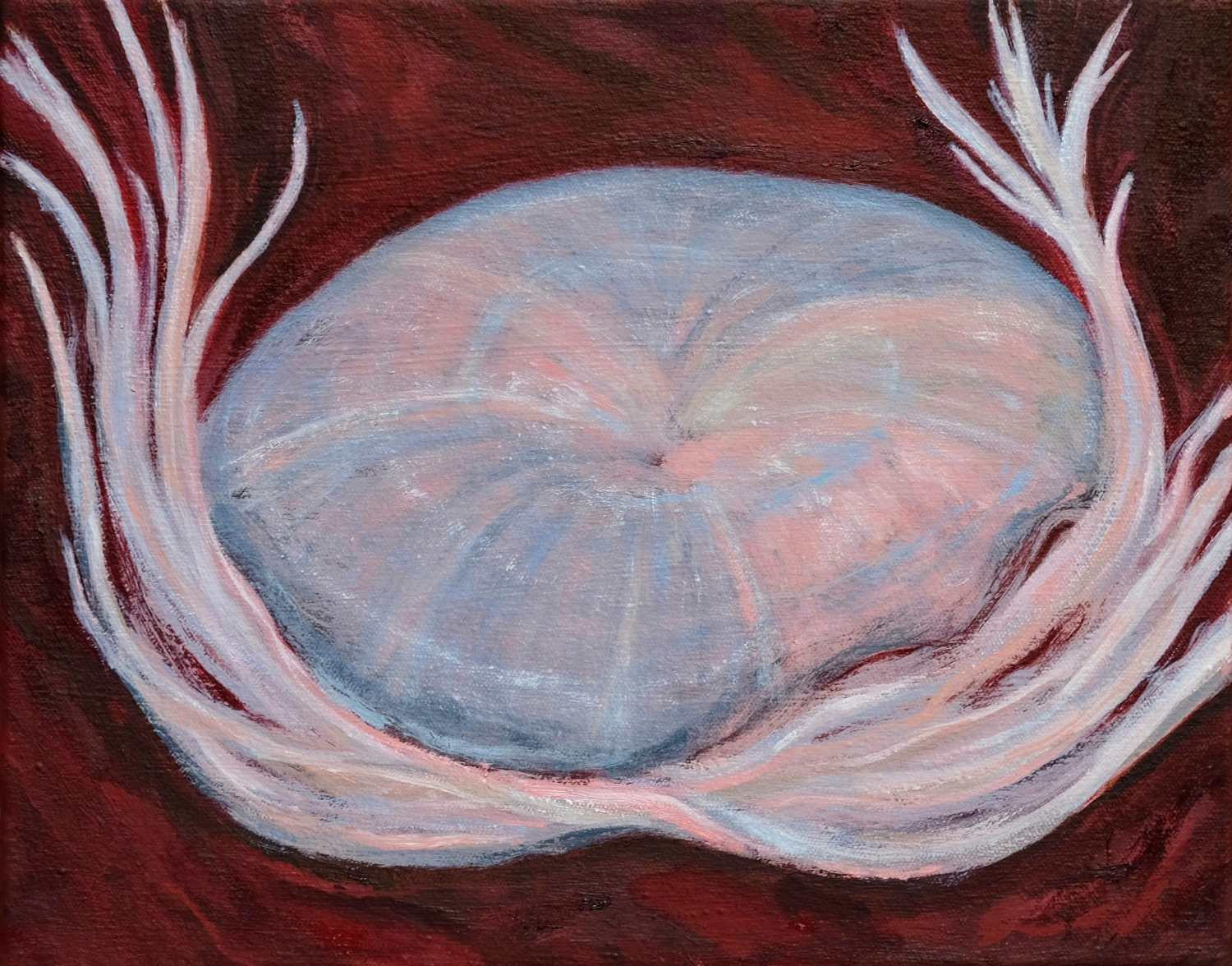 Jellyfish II, oil on canvas, 30 x 24cm, 2023